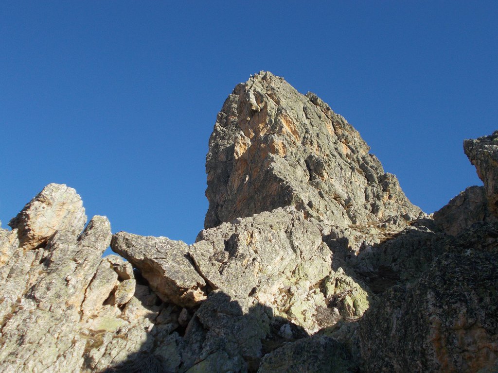 Photo of Castello (Rocca e Torre) traversata Savio-Garro