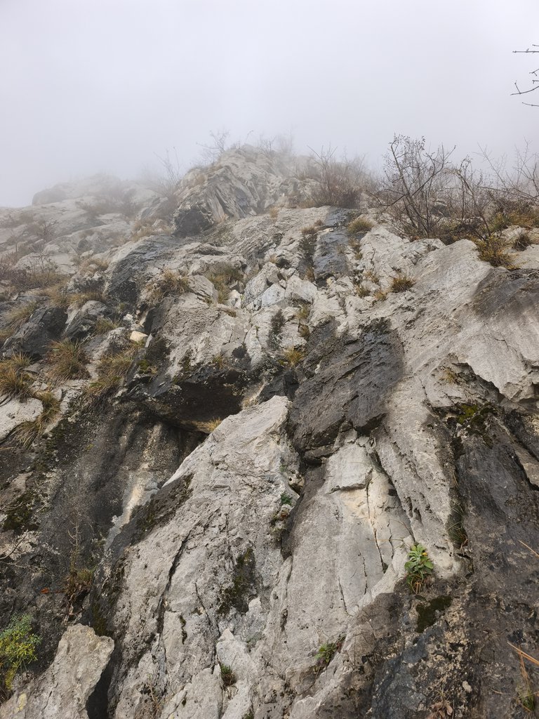 Photo of Sentieri Selvaggi