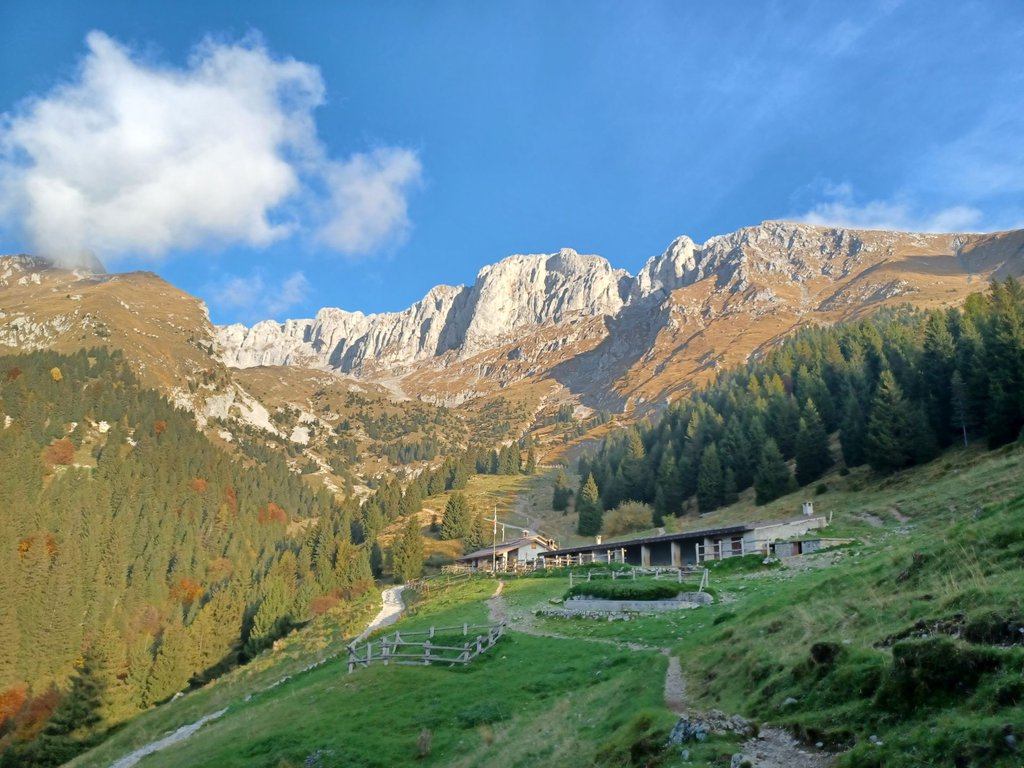 Photo of Un Pensiero per Amos