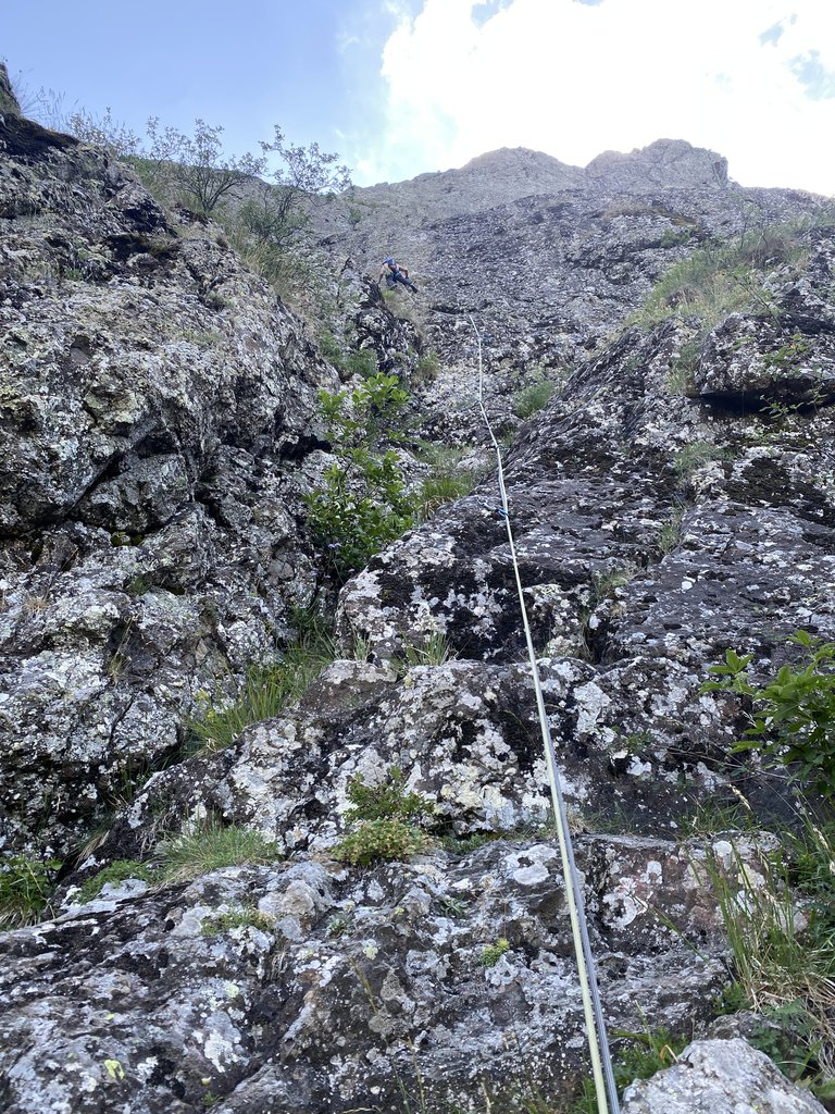Photo of Tolasodulsa