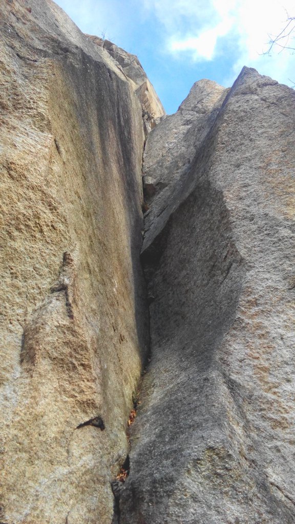 Photo of Diedro Appiano + variante Rabbi