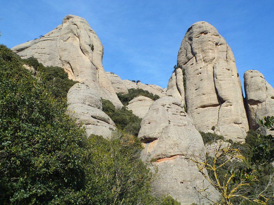Photo of Boy-Roca