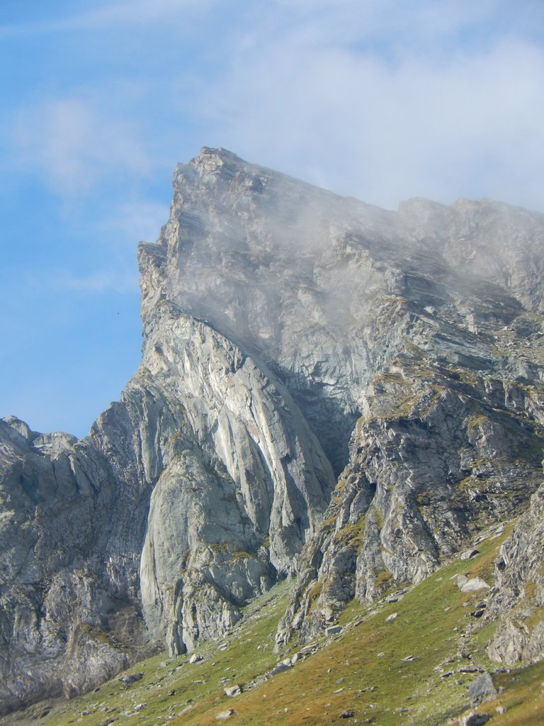 Photo of Il Signore dei Licheni