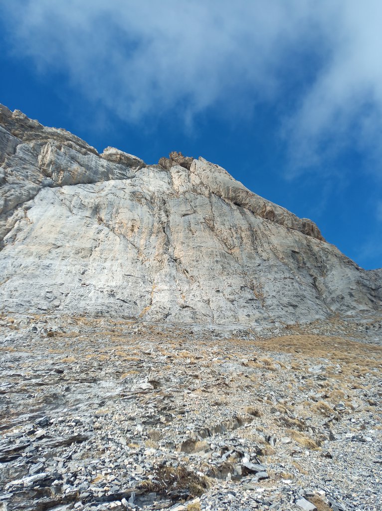 Photo of Lo Speziale