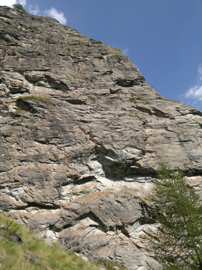 Photo of Hirondelles