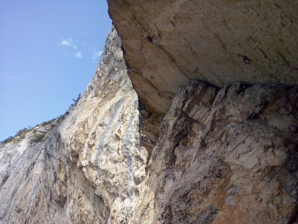 Photo of Cobra-Cabana