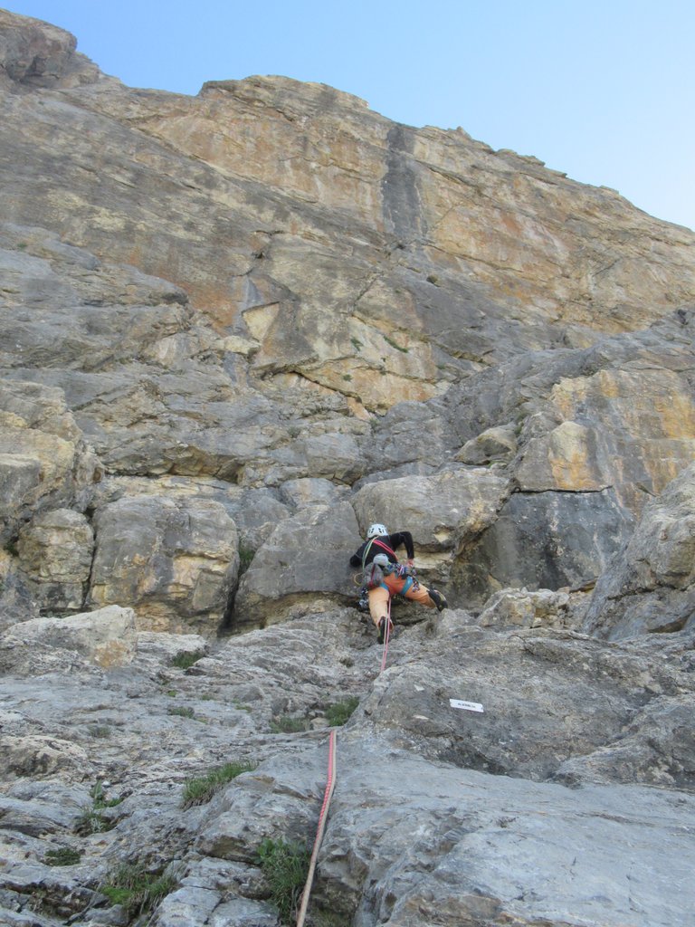 Photo of Alchimeja