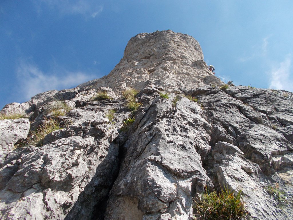 Photo of Gasomania